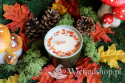 Jesienna świeca rękodzielnicza z wosku sojowego - "Herbatka u leśnej Wróżki" - świeca sojowa z karneolem