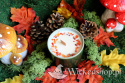 Jesienna świeca rękodzielnicza z wosku sojowego - "Herbatka u leśnej Wróżki" - świeca sojowa z karneolem