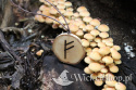 Naszyjnik Runa Fehu - Bogactwo - ręcznie wypalany na drewnie