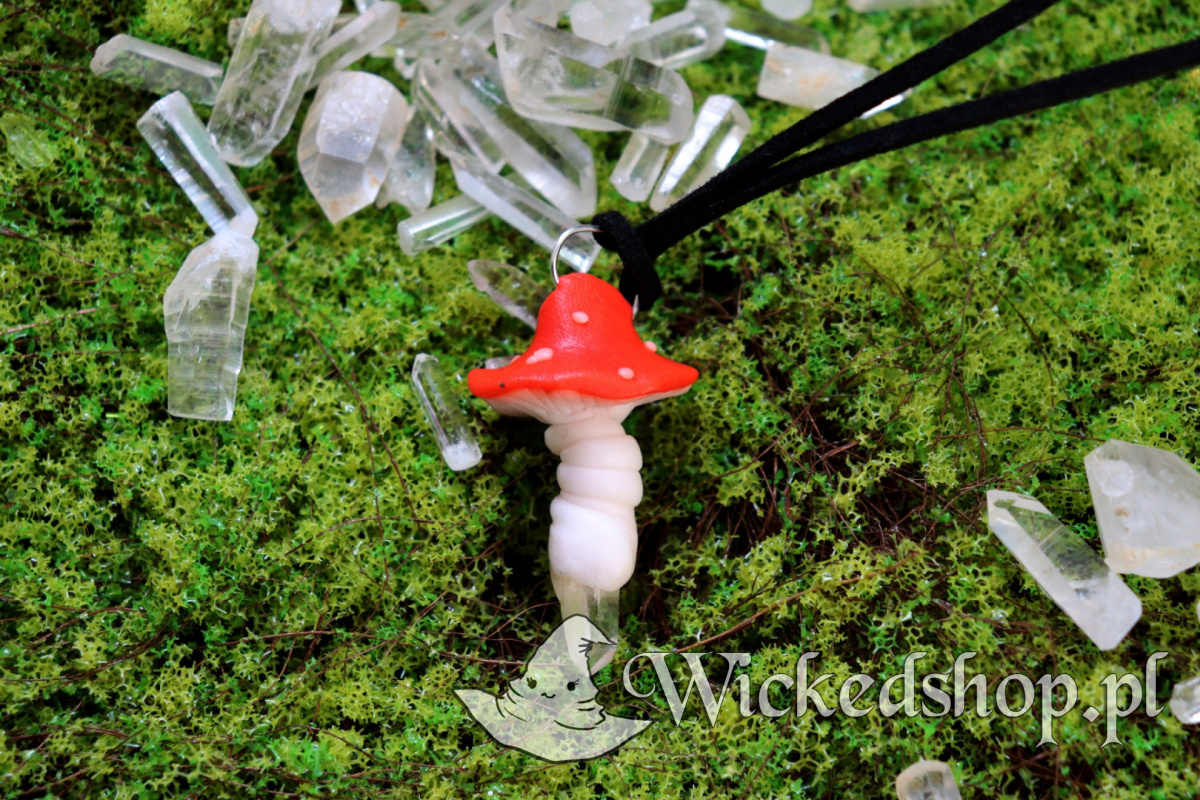 Amulet-rekodzielniczy-Grzybek-Amanita-Muscaria-z-Krysztalem-Gorskim_5B11265D_1200.jpg