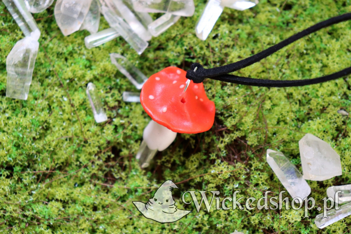 Amulet-rekodzielniczy-Grzybek-Amanita-Muscaria-z-Krysztalem-Gorskim_5B11385D_1200.jpg