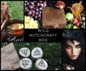 Wild Witchcraft Box