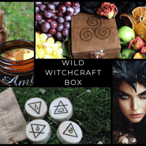 Wild Witchcraft Box