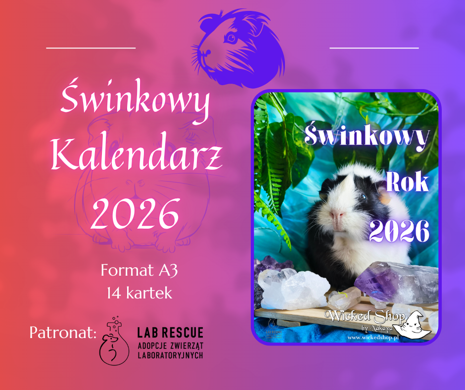 Kalendarz Świnki Morskie - ścienny - Świnkowy Rok 2026 - A3 - 7 kartek